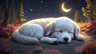  Sleepy Little Puppy Lullaby | Original New Song for Sweet Dreams  | Soothing & Relaxing 