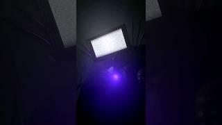 Titan Tv Man vs Titan Speakerman | #skibiditoilet #tvman #vs #shorts