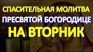 Спасительная молитва Пресвятой Богородице на вторник. Просите о любой помощи