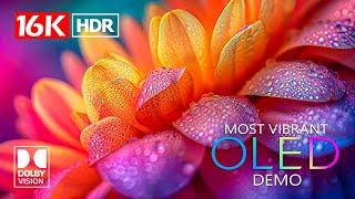 MOST VIBRANT Dolby Vision HDR 16K Video ULTRA HD  (4K / 8K TV)