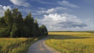 Эх, не одна во поле дороженька. Исполняет Игорь Лынковский