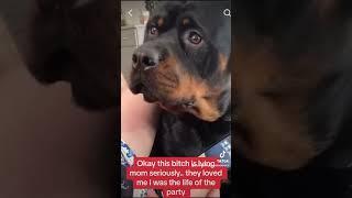 Rottweiler Reacts To Doggy Daycare Snitching In Him. #funny