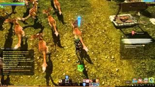 ArcheAge принимаем роды у ятты