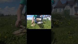 Димарик в роботі #beekeeper #beekeeping #honeybee #honey #savethebees