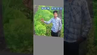ytshort video #Mukesh saregama official ‌‌_‌‌‌‌editing subscribe kar do bhai 