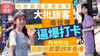 田曦薇來港拍劇被瘋狂集郵　內地旅客追住劇組打卡逼爆中環｜01娛樂｜田曦薇｜半熟男女｜內地藝人