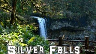 The Northwest Forager // Silver Falls