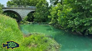 I was Surprised What's in This Urban Creek!