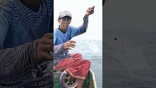strike #youtube #fishing