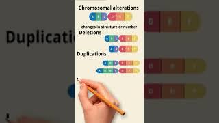 types of chromosomal alterations