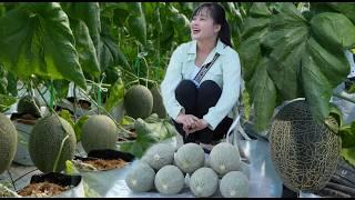 My plan to sell melon. Feed the chickens and water the vegetable garden