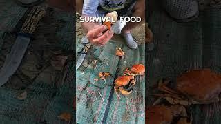 SURVIVAL FOOD