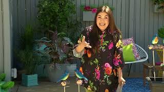 HSN | Guy's in the Garden 03.07.2025 - 11 AM