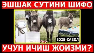 3028/ Эшшак сутини шифо учун ичиш жоизми? Абдуллоҳ Зуфар Ҳафизаҳуллоҳ | Eshshak sutini shifo uchun?