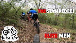 Fort Custer Stampede MTB Race 2022 - Can I Race Well in this Elite Race - Michigan Mountain Biking