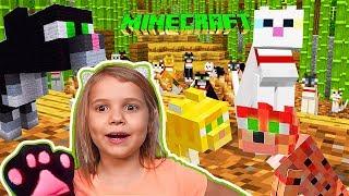 Кошачий Minecraft - приручаем и дрессируем кошек / побеждаем слаймов