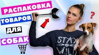 РАСПАКОВКА И ТЕСТИРОВАНИЕ ТОВАРОВ ДЛЯ СОБАК | DOG UNBOXING