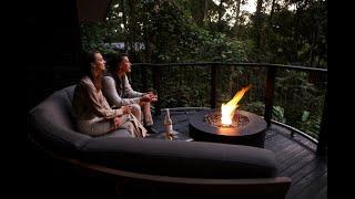 Rainforest Splendour at Silky Oaks Lodge