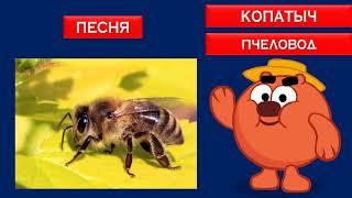 КОПАТЫЧ | ПЕСНЯ | ПЧЕЛОВОД