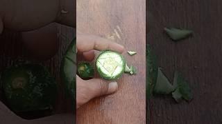 "Perfect Mini Lemon Cuts | Quick & Easy Citrus Garnish! #MiniLemonCutting #CitrusGarnish