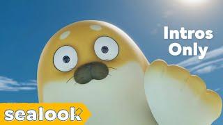 [NEW] How Many Intros Have You Seen? | Intro Compilation | SEALOOK Official