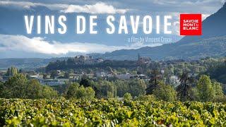 VINS DE SAVOIE - A film by Vincent Croce