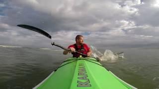 Kayak Surfing Shark Encounter