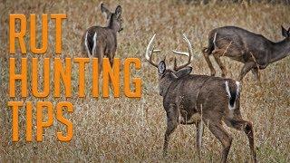 DOMINATE the Rut With These Rut Hunting Tips!