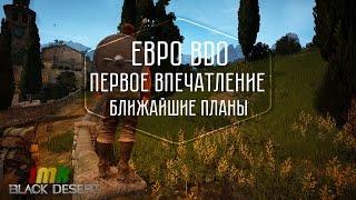 Black Desert - первые впечатления по евро серверу и ближайшие планы на канал