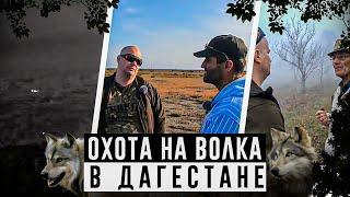 Новая охота на волка в Дагестане. Загадочное захоронение  древних людей. Выстрел по волку на 150 м.