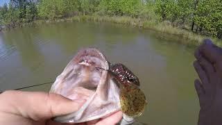 East TX. Spring Bass Fishing -- Ft. YourLakeForkGuide (again)