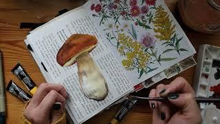 Quick Mushroom illustration | Boletus Gouache painting ️