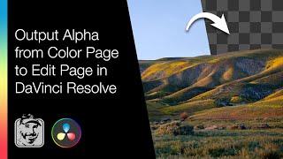 Output Alpha from Color Page to Edit Page in DaVinci Resolve (Share Transparency)