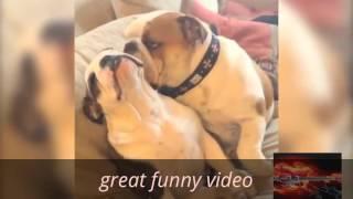 top funny fails funny video amazing video best funny channel