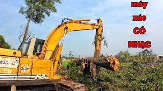 Tree Crane Excavator with Upbeat Music | MinhAn Toys #513