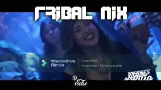 Tribal Mix 2023 (Lo Mas Nuevo) - Dj Echo