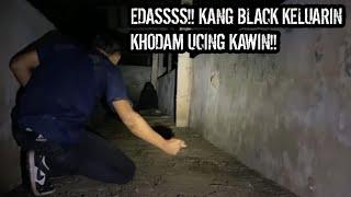 KETIKA KANG BLACK KELUARIN KHODAM UCING KAWIN SAAT MELAWAN SULIMAN BAGONG!!