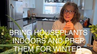 TIME TO BRING HOUSEPLANTS INDOORS AND PREP THEM FOR WINTER .