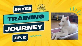 Partners Dog Training Journey | Skye | Ep. 2