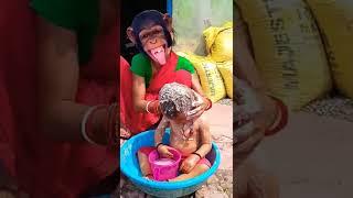 lakdi ki kathi 