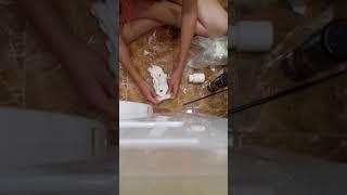 Эксперимент со слаймом