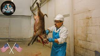 How Ham Is Made From Millions Of Wild Boars In The Factory  | Processing Factory