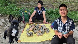 The orphan boy - Was given a pumpkin garden by his kind sister to sell and returned to the old hut.