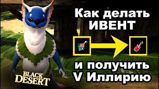 V Серьги Иллирии за III Серьги Термина. Как делать ивент в BDO - Black Desert (MMORPG)