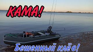 Сумасшедшая рыбалка на Каме! Бешенный клёв! Трофей!