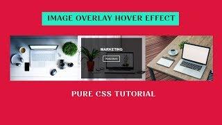 Image overlay Hover effect using html and css