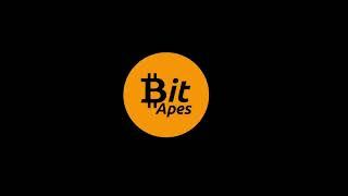 BIT APES by BAYC Members : Bitcoin Ordinals NFT Collection [Video by: BA_STUDIO]