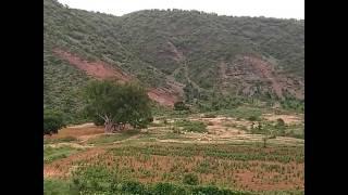 Farm view from house top- ekheti-alwar