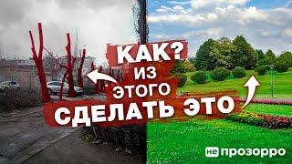 Зеленые насаждения в Николаеве, что нам мешает и кто не дает?