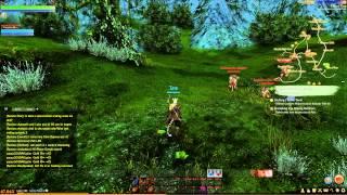 ARCHEAGE TANK PALADIN gameplay 3